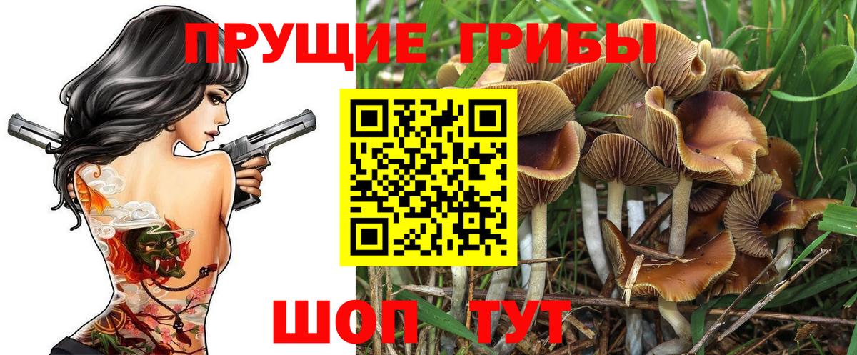 как найти наркотики  Галлюциногенные грибы мицелий  Вход с VPN  Выборг 